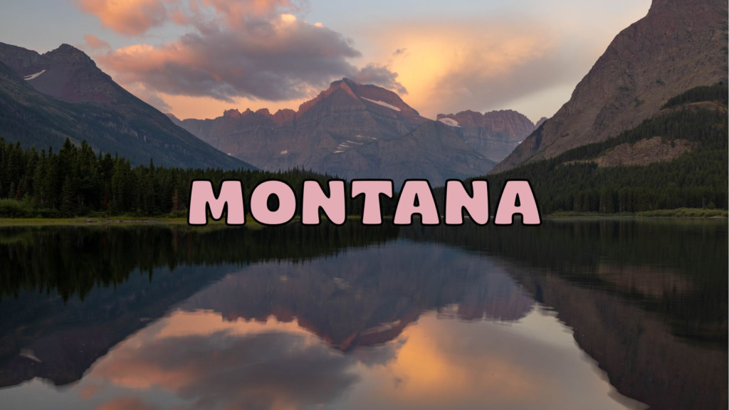 montana destination