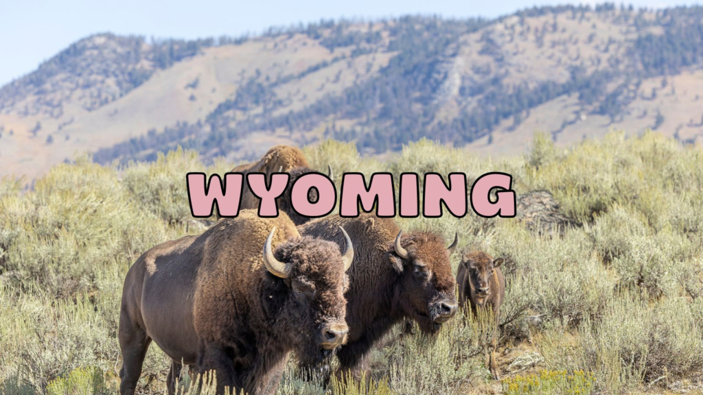 wyoming destination